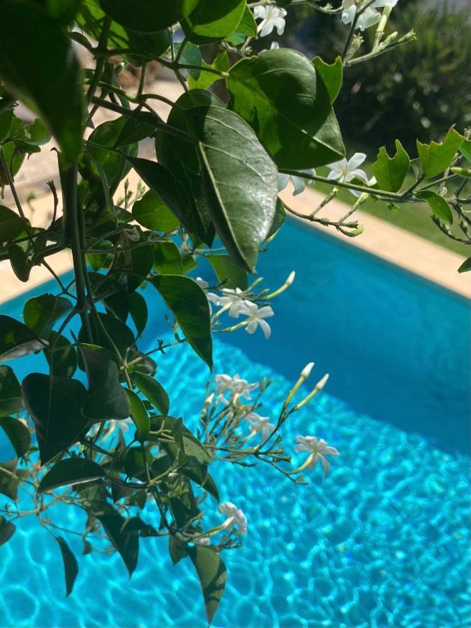 Beautiful Villa With Pool, Barbecue, And Garden Javea Exterior photo